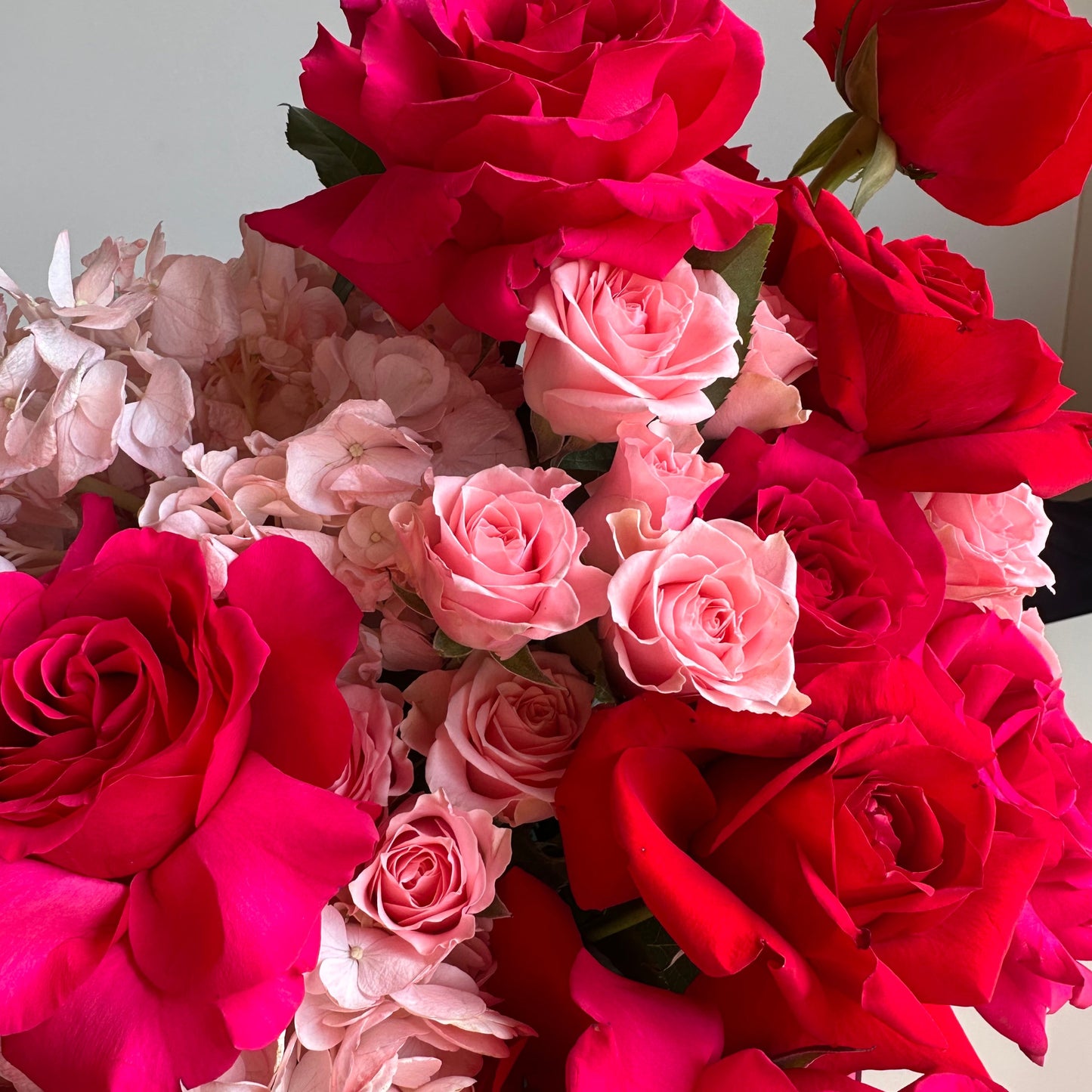 Rose & Rouge Romance